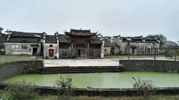 卢家洲村-卢家洲村