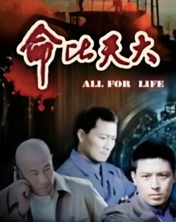 命比天大-2009年过华执导电影