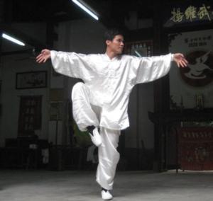 鹤拳- 抖音百科