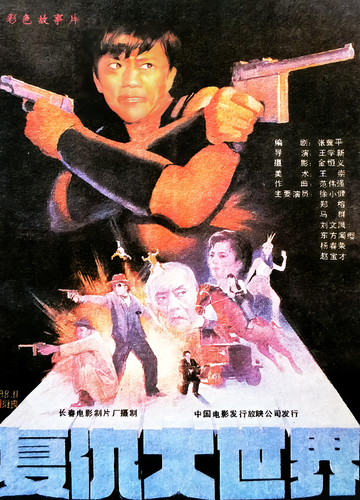 复仇大世界-1989年王学新执导电影