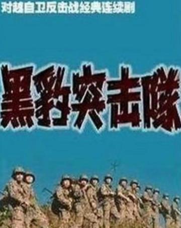黑豹突击队-1988年陈俊中执导的电视剧