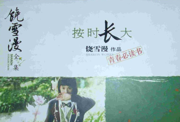 按时长大-2004年饶雪漫创作的图书