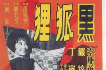 黑狐狸-1962年严俊执导的悬疑电影