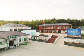 新河村-安徽马鞍山市当涂县新市镇下辖村