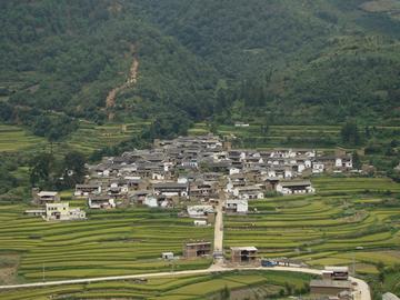 大练庄村