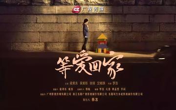 等爱回家-2014年罗浩执导电视剧