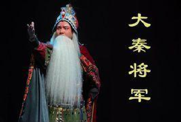 大秦将军-秦腔历史剧