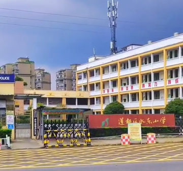 水东村-浙江省丽水市莲都区紫金街道水东村