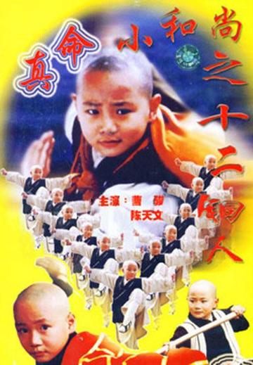 真命小和尚之十二铜人-1997年金琛执导的电视剧