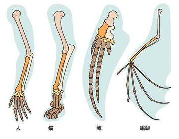 同源