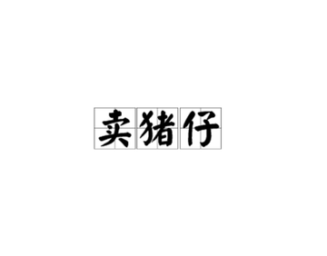 卖猪仔-快懂百科