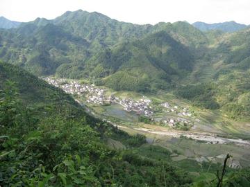 大阜村