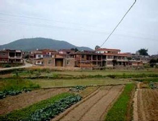 林坂村-福建泉州南安市梅山镇下辖村