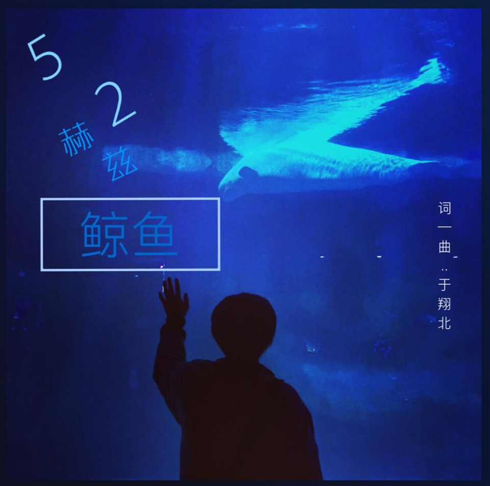 52赫兹鲸鱼- 抖音百科