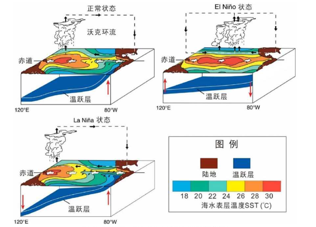 厄尔尼诺-南方涛动- 抖音百科