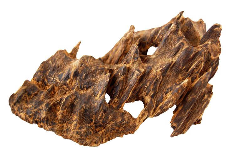 寸門多羅］ 52.3グラム 聞香 香木 沈香 香道 奇南 伽南 沉香 海南