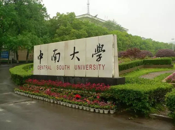 中南大学冶金科学与工程学院-中南大学二级学院