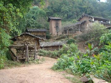 龙塘村-云南省普洱景谷县威远镇龙塘村民委员会