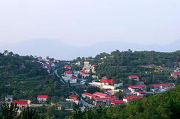 民权村