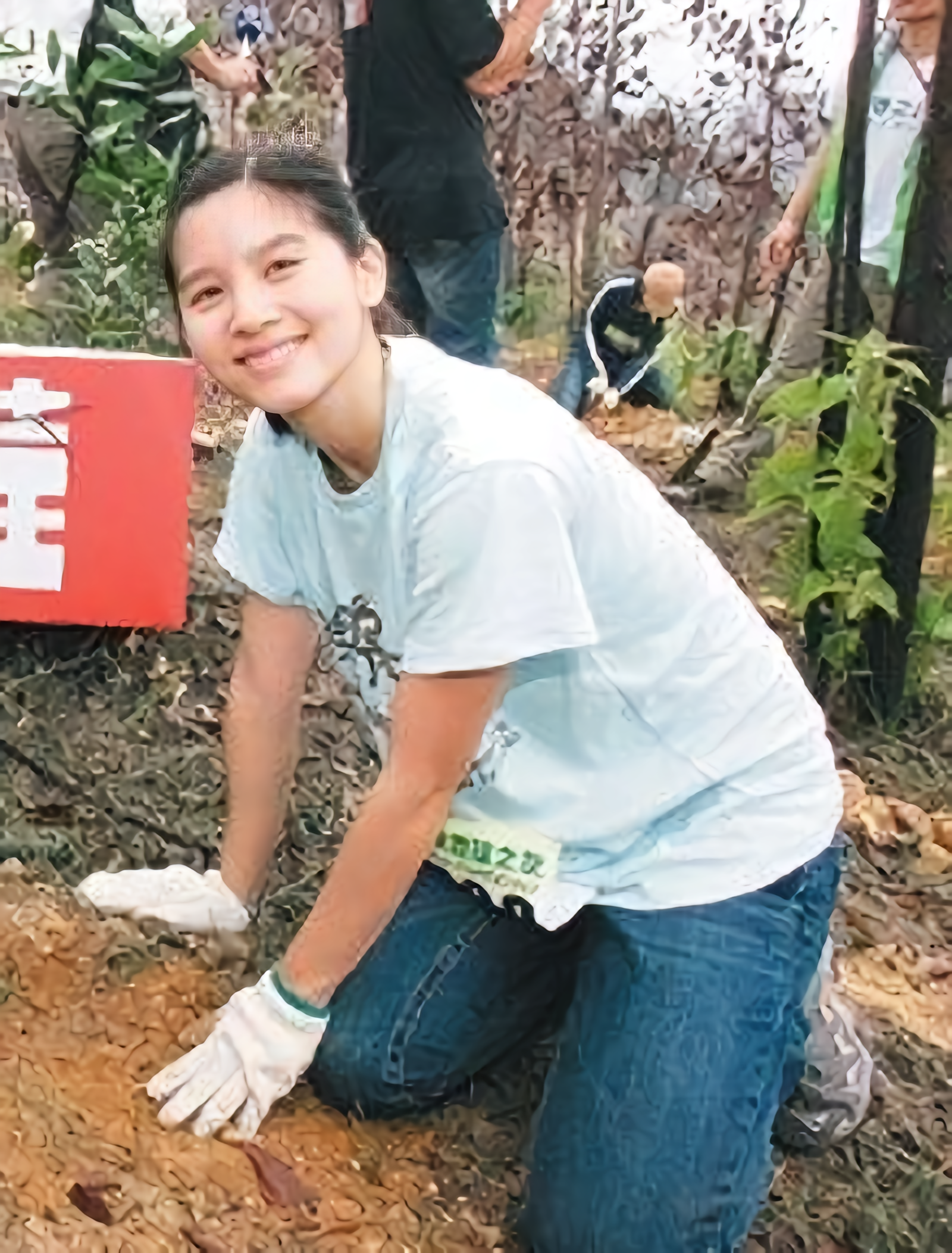 PDF Compressor, image size:1600x2104