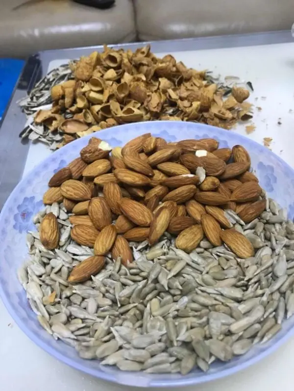 五仁月饼
