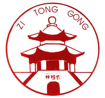 四川梓橦宫药业有限公司-中国以制药为主的上市公司