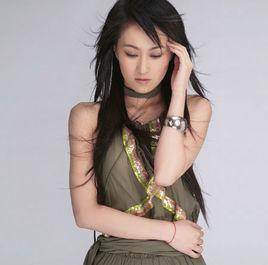 飞舞-2006年王冰洋演唱歌曲