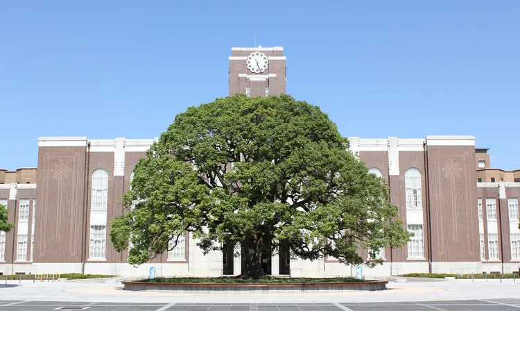 京都大学