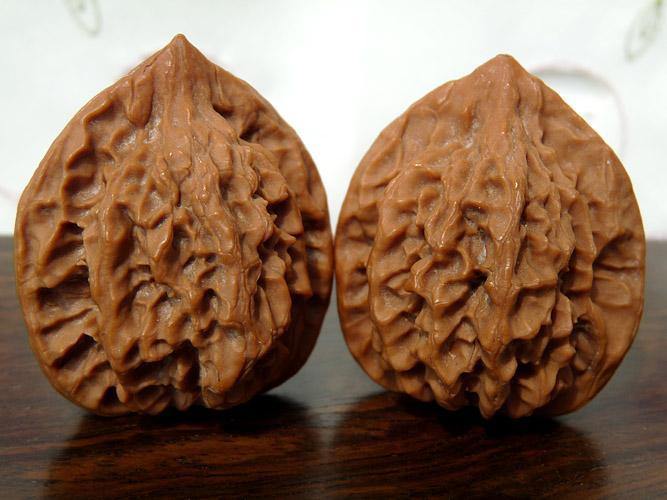 原桩大粗筋核桃 文玩 クルミ 【公式通販】