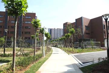 学苑街道
