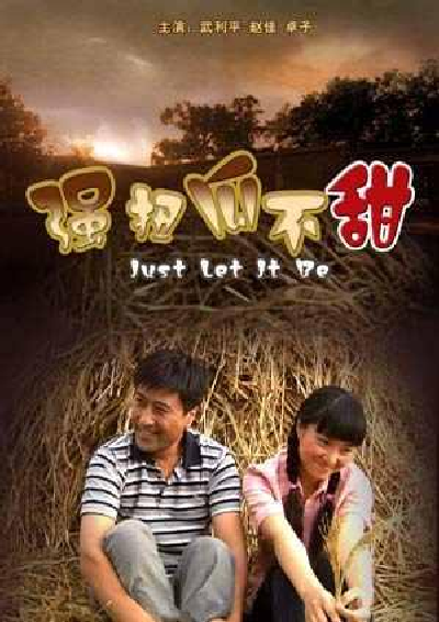 强扭瓜不甜-农村婚姻题材作品