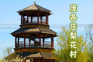 梨花村-北京市大兴区庞各庄镇下辖村
