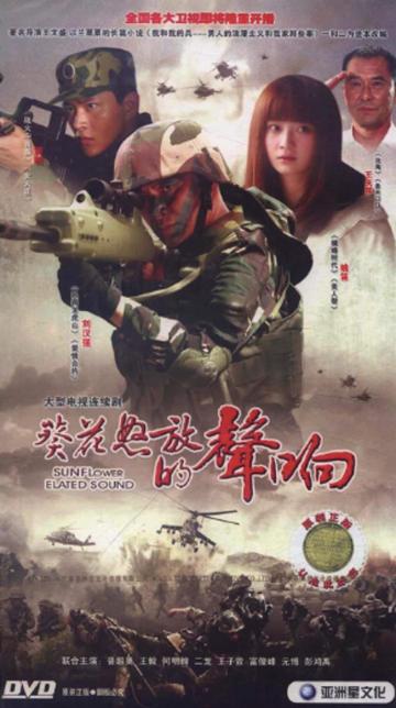 葵花怒放的声响-2010年王文盛执导的青春剧