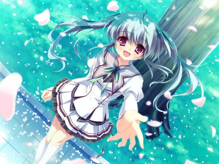 纯白交响曲- 抖音百科