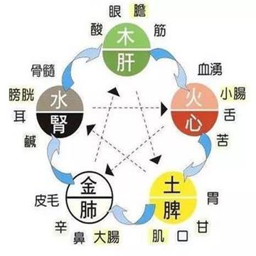 四气五味-中药药性理论的基本内容之一