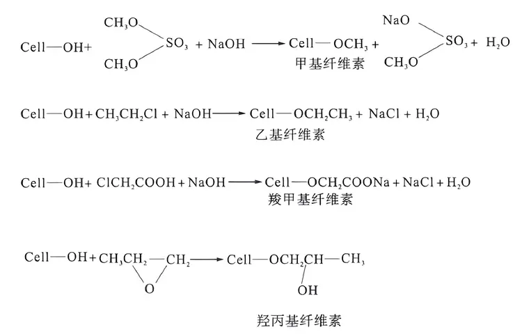 纤维素