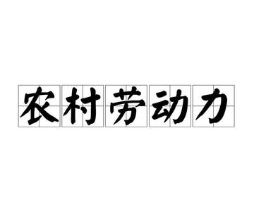 农村劳动力-男性16岁以上有劳动能力的农民