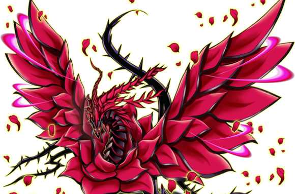 20cp黒蔷薇龍紅砕、花龍 蔷薇龙| 百鸽- 游戏王卡片查询工具