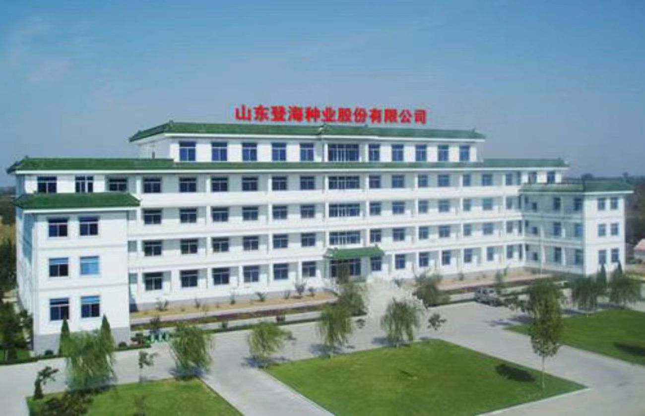 登海种业（002041）涨停分析：资金轮动与政策预期驱动下的短期突破