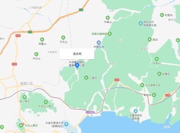 龙头村-辽宁省大连市龙头镇龙头村
