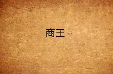 商王-2008年潘纯创作的小说