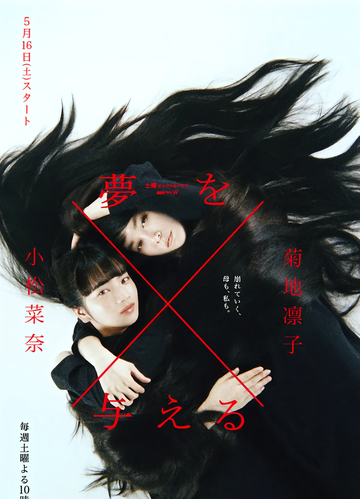造梦女孩-2015年犬童一心执导电视剧