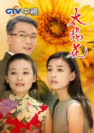 太阳花-1998年张庭主演台湾中视电视剧