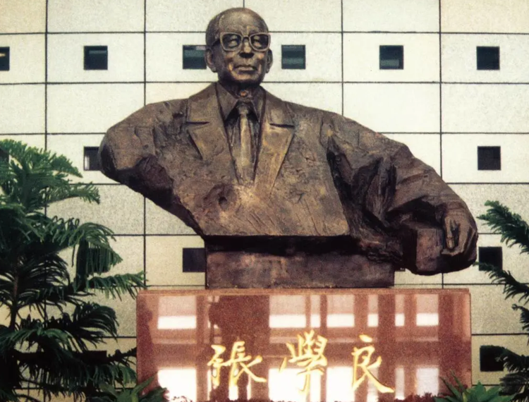 张学良- 抖音百科
