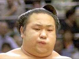 千代大海- 抖音百科