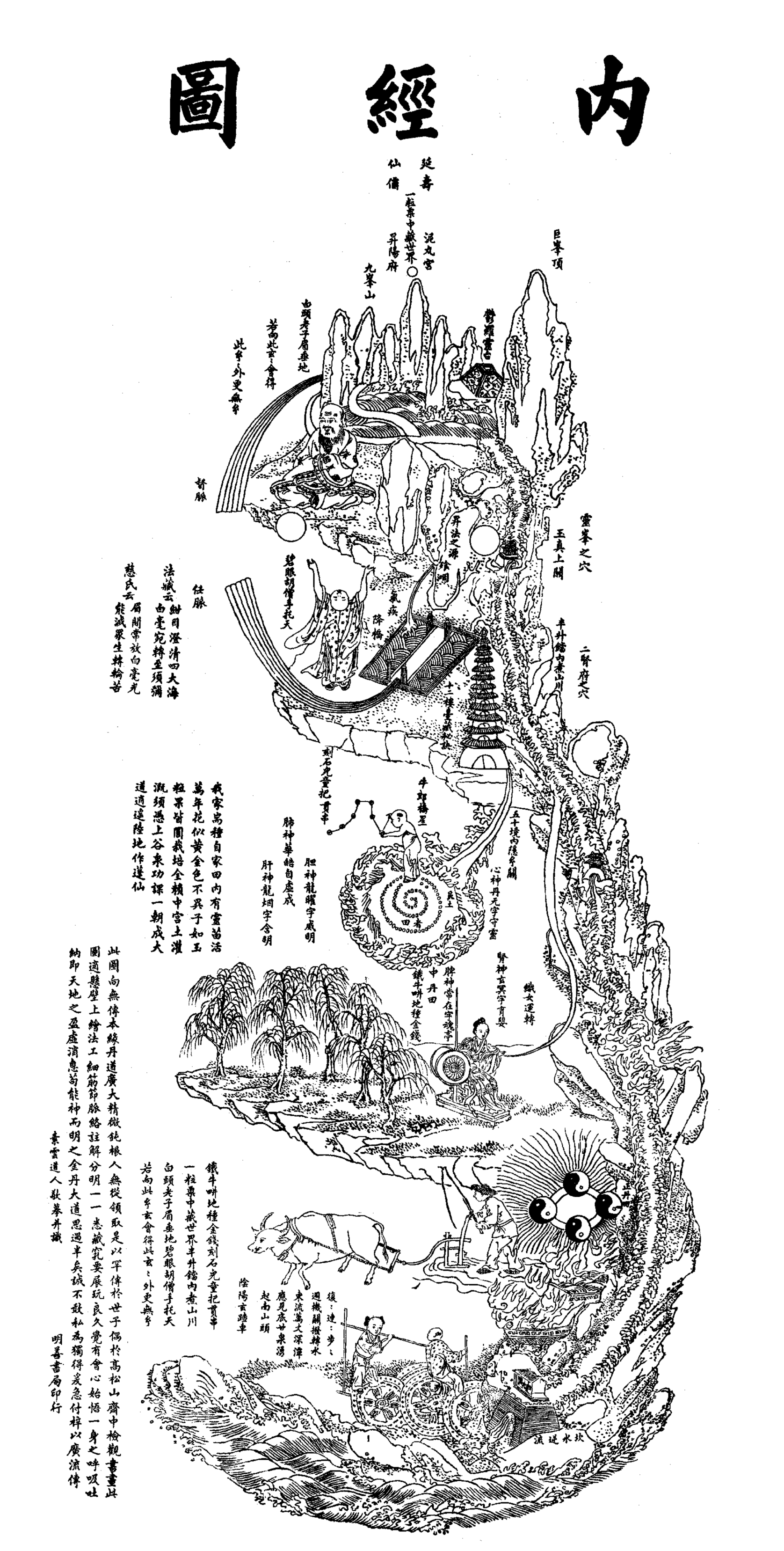 【ギフ_包装】 ae4bf4c4486045ebb096daf1da3f0b 健康・医学