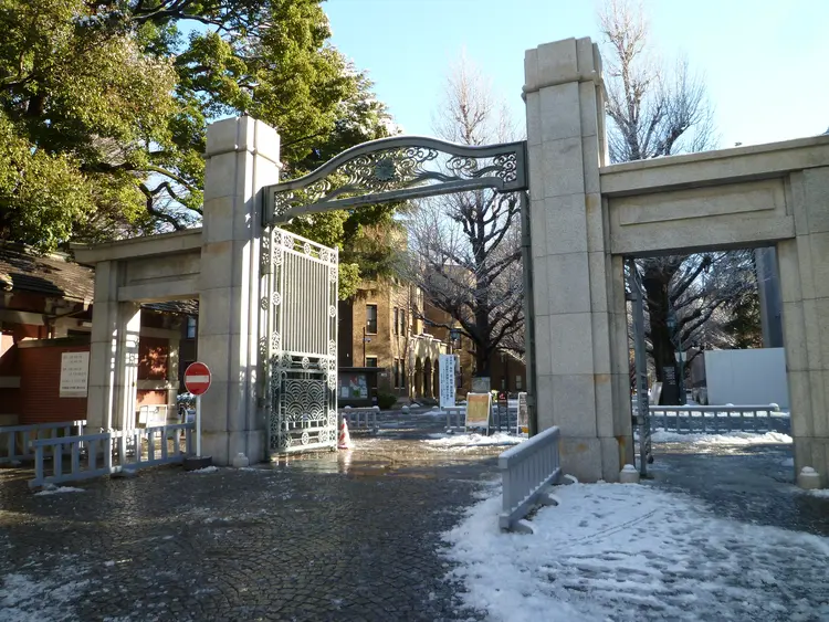 东京大学