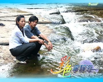 彩色宁静海-2009年王启在执导电影