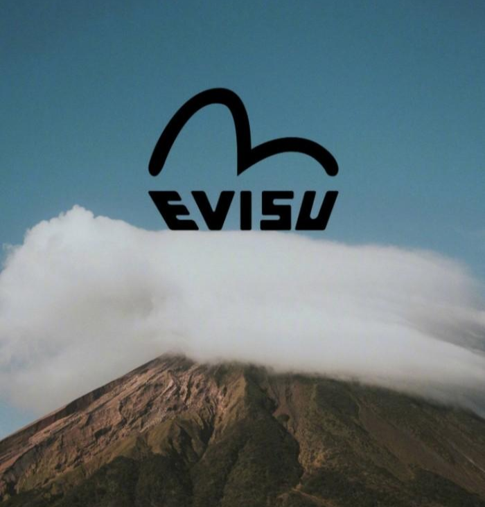 evisu - 抖音百科