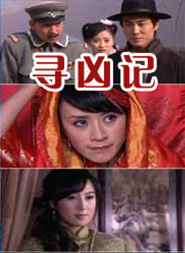 寻凶记-2009年杨宗德执导电影